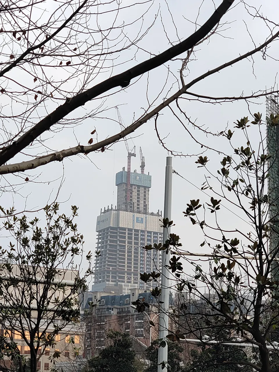 塔楼